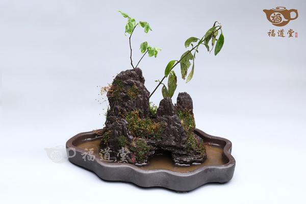 假山