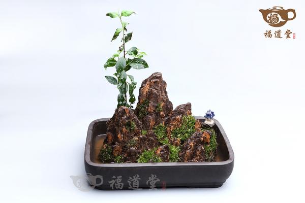 假山