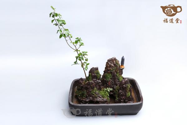 假山