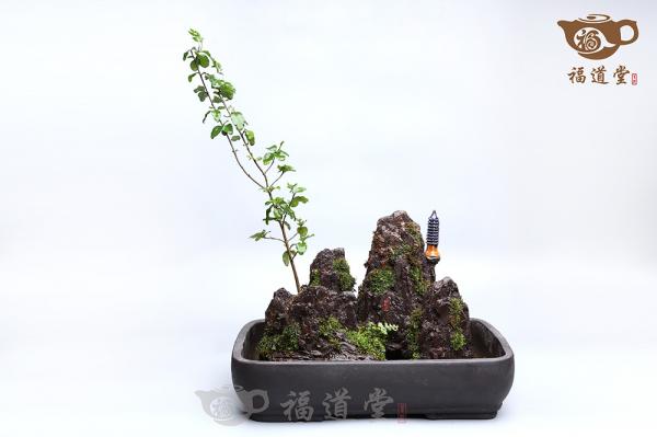 假山