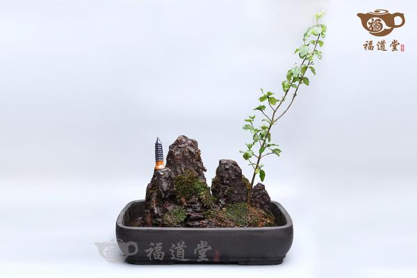 假山