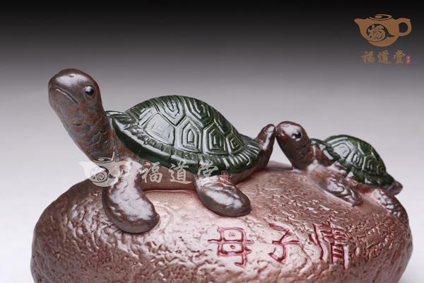 变色龟