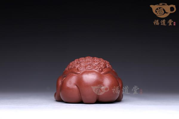 金蟾