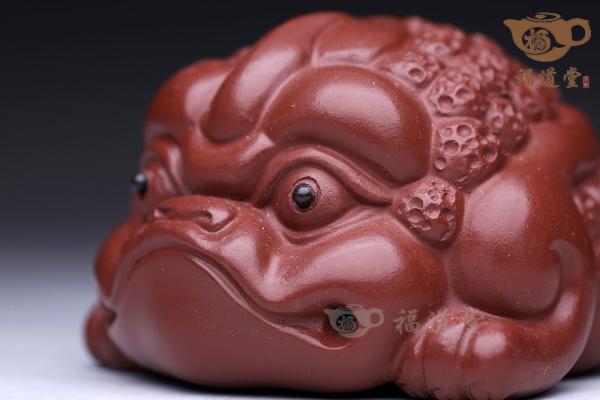 金蟾