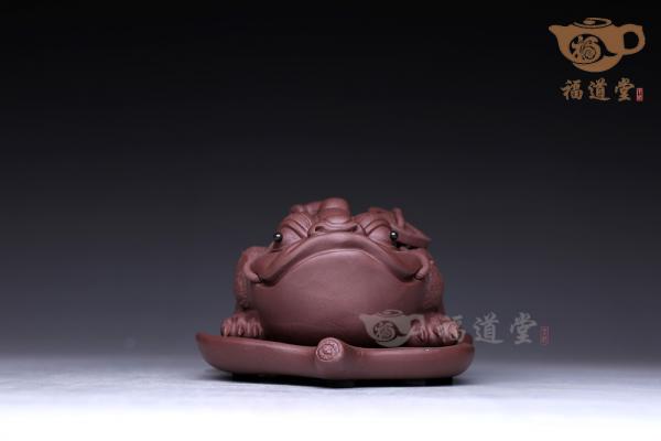 树叶蟾