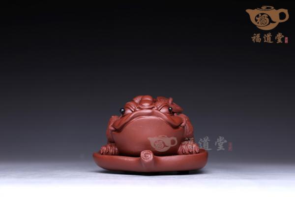 树叶蟾