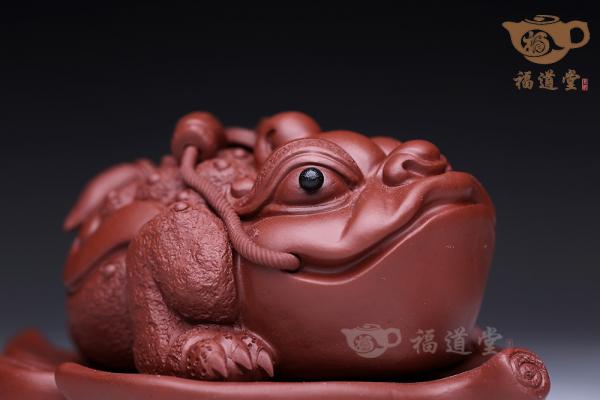 树叶蟾