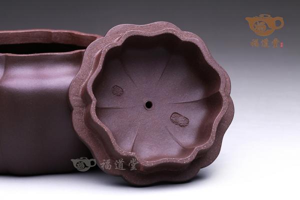 菱花