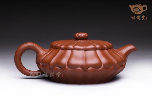 扁合菱