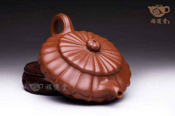 扁合菱
