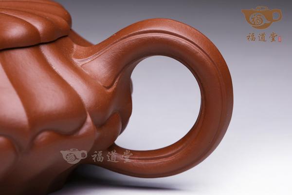 扁合菱