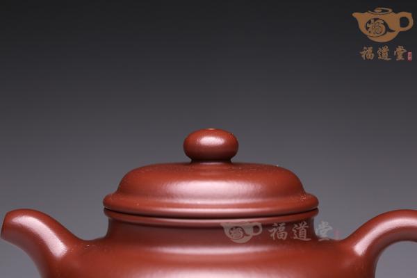 掇只