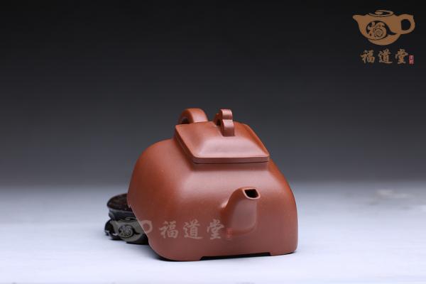 孤菱