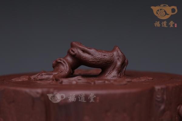 千岁松