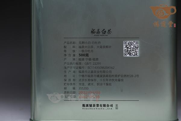 荒野小白