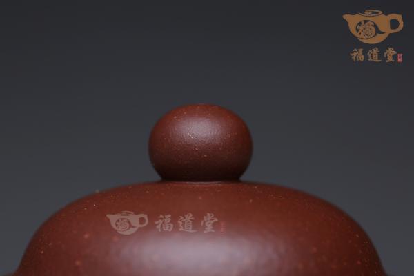 掇球