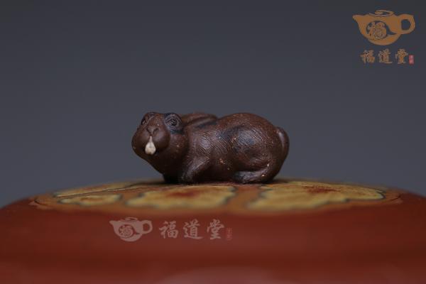 云兔