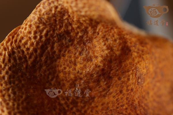 天马陈皮