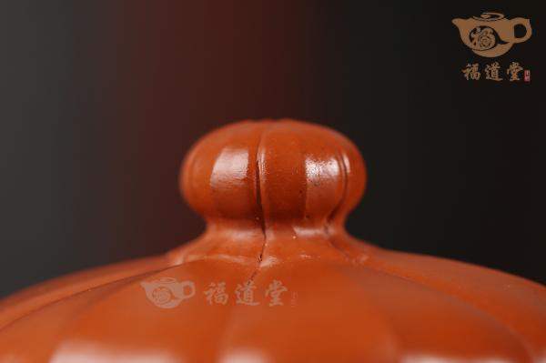 筋纹乳瓢