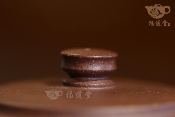 汲泉
