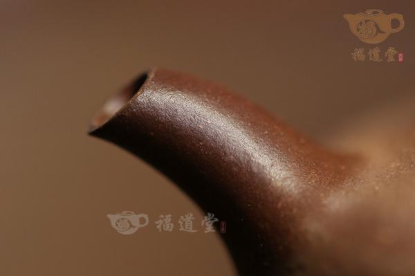 汲泉