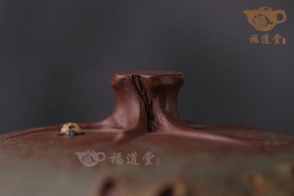 瓜情梦雨