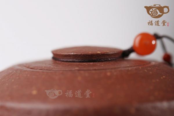 巨轮珠（折肩）