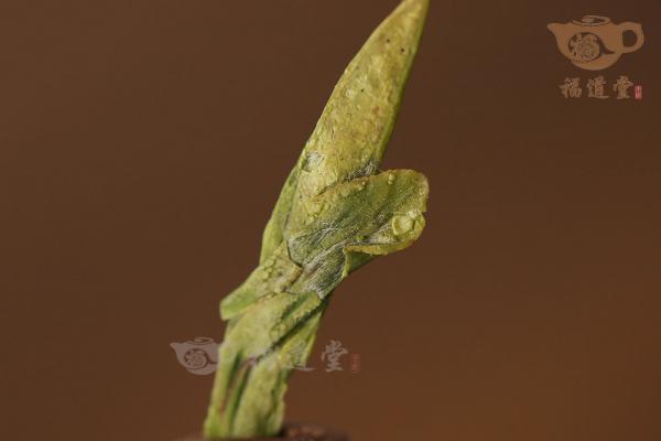 春前瓏芽