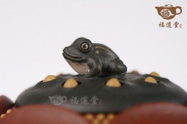 青蛙莲子