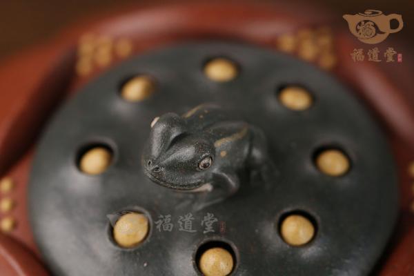 青蛙莲子